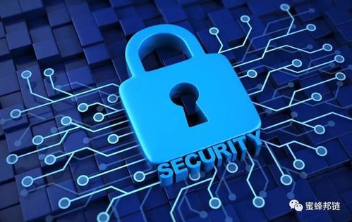 區(qū)塊鏈技術(shù)在政務(wù)服務(wù)中的應(yīng)用與效率提升