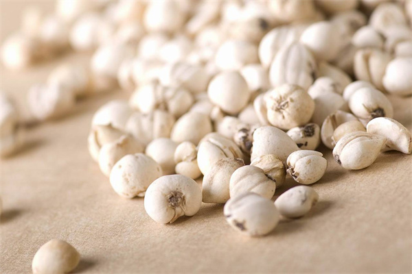 綠生藥業(yè) 專注天然養(yǎng)身，科技賦能保健食品新未來(lái)